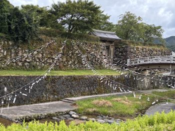 期日前投票に行ってきました